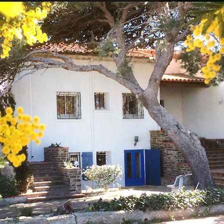 Villa Bleue - Les Pins Port Vendres Dış mekan fotoğraf