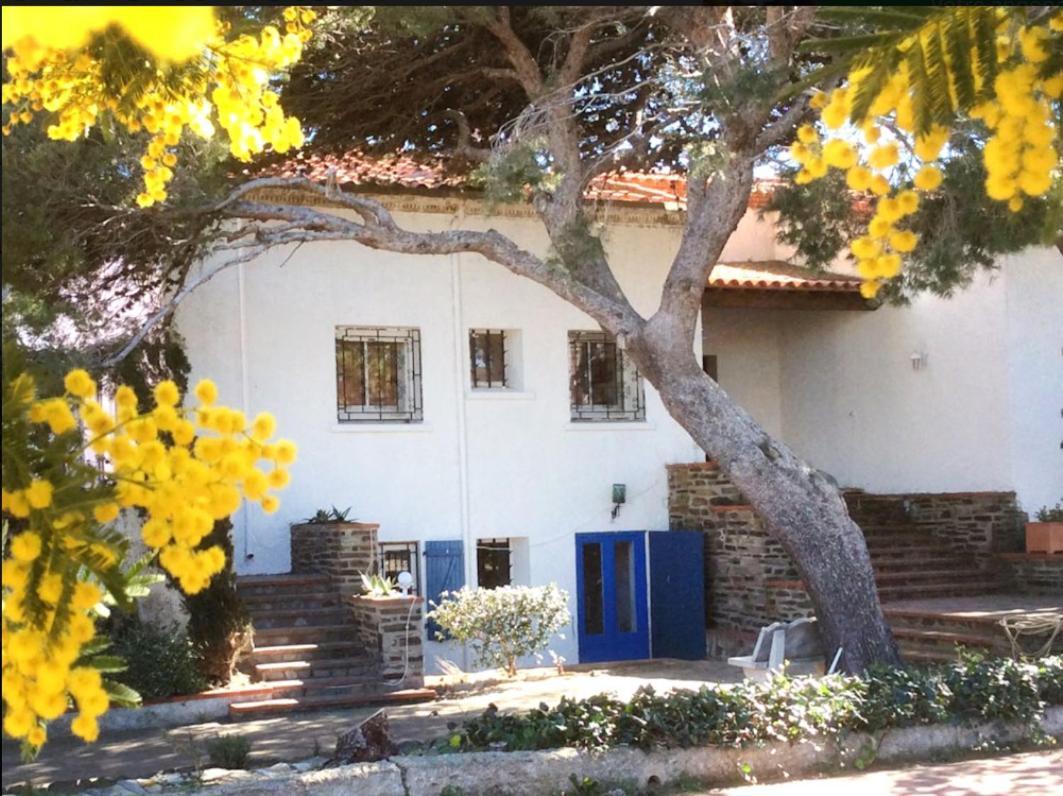 Villa Bleue - Les Pins Port Vendres Dış mekan fotoğraf