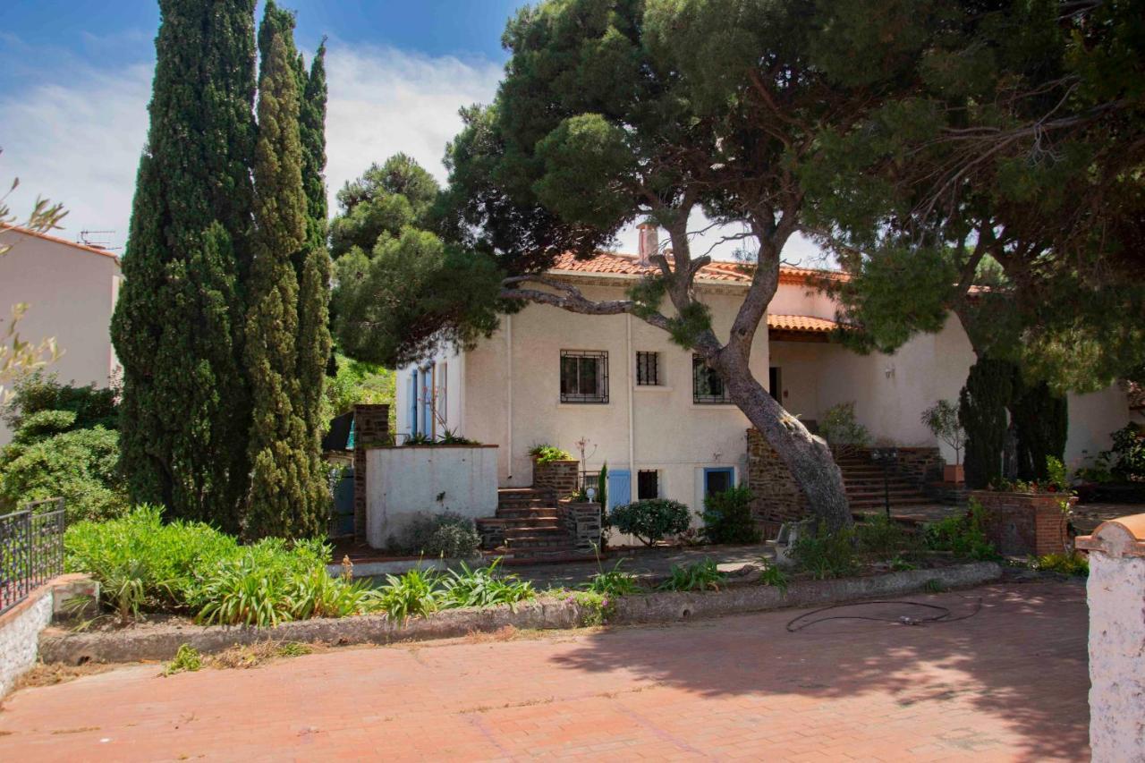 Villa Bleue - Les Pins Port Vendres Dış mekan fotoğraf