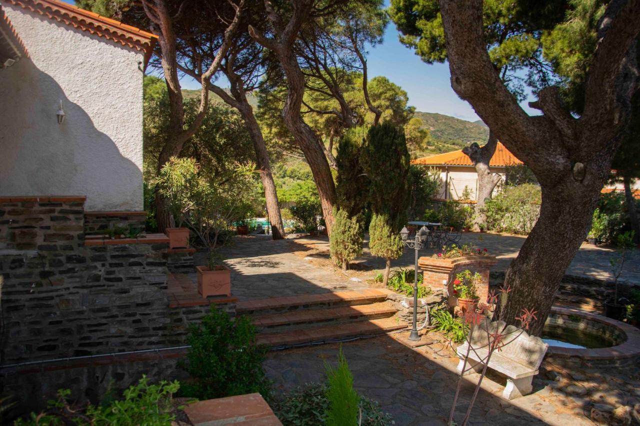 Villa Bleue - Les Pins Port Vendres Dış mekan fotoğraf