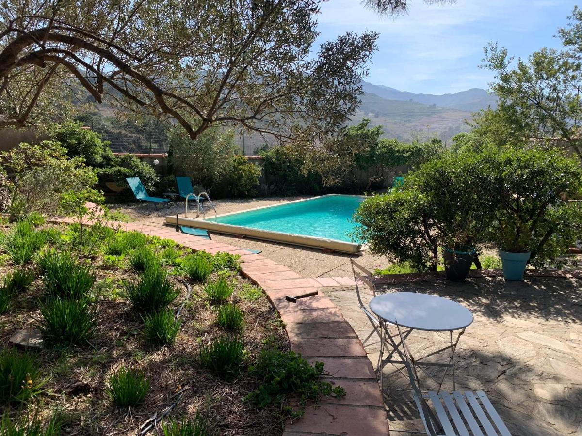 Villa Bleue - Les Pins Port Vendres Dış mekan fotoğraf