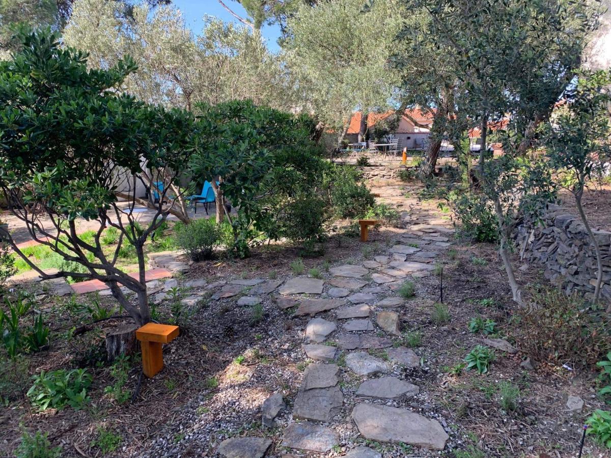Villa Bleue - Les Pins Port Vendres Dış mekan fotoğraf
