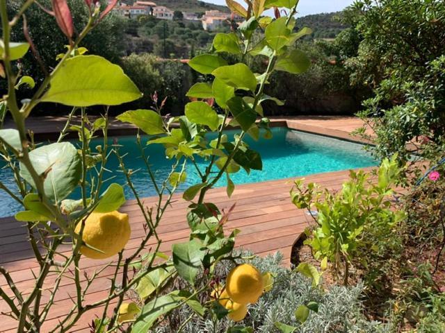 Villa Bleue - Les Pins Port Vendres Dış mekan fotoğraf